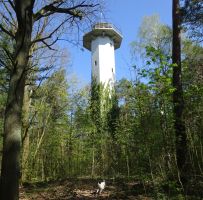 2019-04-23-dsc04842-klein