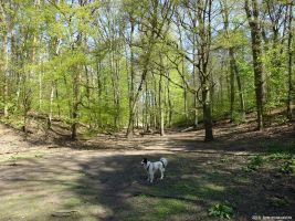 2019-04-23-dsc04884-klein
