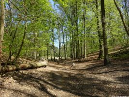 2019-04-23-dsc04887-klein