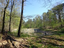 2019-04-23-dsc04888-klein