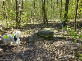 2019-04-23-dsc04890-klein