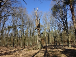 2019-02-27-hochschulsportplatz-dsc04499-klein 2019-02-27-hochschulsportplatz-dsc04499-klein