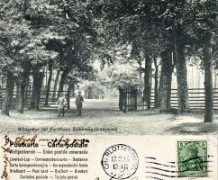 1913-02-17-eichkamp-grunewaldzaun-klein