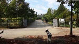 2014-09-09-023-klein