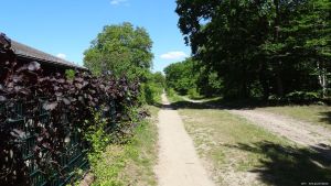 2015-06-04-gartenverein-grunewald-dsc00442-klein