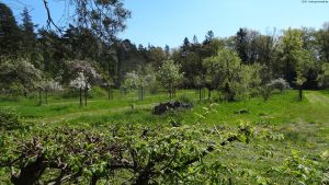 2016-05-02-revierfoersterei-eichkamp-dsc04666-klein