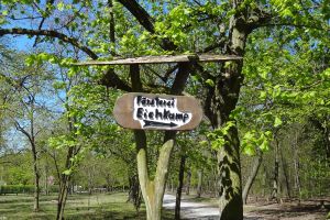 Eichkamp: Hauptgalerie