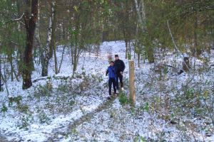 034 - Dachsberge Galerie 09: Elsgrund