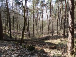 2012-03-25-18-klein