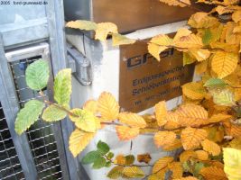 2005-erdgasspeicher-scholzplatz-3-klein