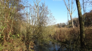 2014-11-17-ruhleben-029-klein
