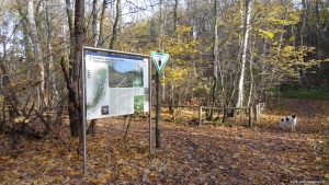 2014-11-17-ruhleben-115-klein