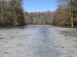 2011-03-06-cimg2063-klein