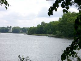 2008-05-18-cimg3031-klein 2008-05-18-cimg3031-klein