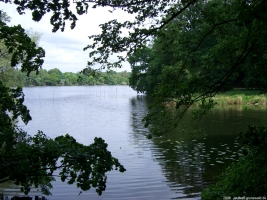 2008-05-18-cimg3034-klein 2008-05-18-cimg3034-klein