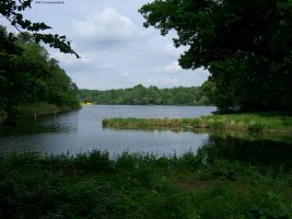 2008-05-18-cimg3038-klein 2008-05-18-cimg3038-klein