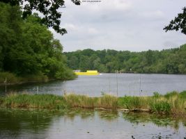 2008-05-18-cimg3039-klein 2008-05-18-cimg3039-klein