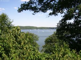 2006-07-02-schaeferberghuegellauf-cimg9237-klein 2006-07-02-schaeferberghuegellauf-cimg9237-klein