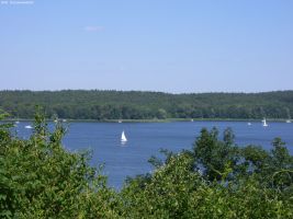 2006-07-02-schaeferberghuegellauf-cimg9243-klein 2006-07-02-schaeferberghuegellauf-cimg9243-klein