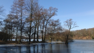2011-03-06-cimg1941-klein