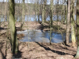 2011-03-06-cimg2082-klein