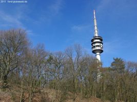 cimg2159-klein cimg2159-klein