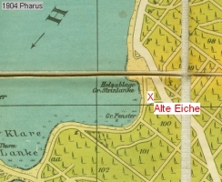 1904-pharus-eiche-grosse-steinlanke