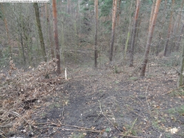 2014-03-17-dachsberg-baumfaellungen-043