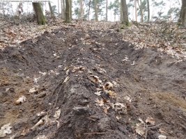 2014-03-17-dachsberg-baumfaellungen-094
