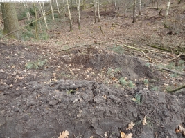 2014-03-17-dachsberg-baumfaellungen-164
