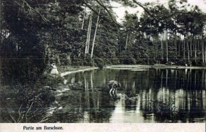 1911-ca-barschsee-partie-am-1600-hin