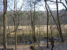 2009-april-04-filmaufnahmen-bilderbuch-grunewald_42-klein