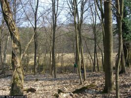 2009-april-04-filmaufnahmen-bilderbuch-grunewald_55-klein