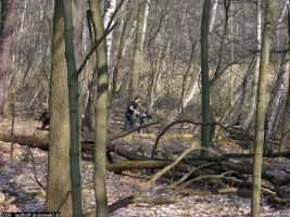 2009-april-04-filmaufnahmen-bilderbuch-grunewald_56-klein