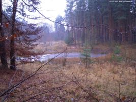 2005-12-04-teich-nc3a4he-pechsee-cimg5924-klein