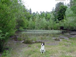 2015-05-16-das-auge-gottes-dsc09656-klein