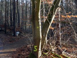 2015-12-08-das-auge-gottes-dsc03055-klein