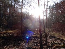 2015-12-08-das-auge-gottes-dsc03056-klein