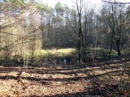 2015-12-08-das-auge-gottes-dsc03060-klein