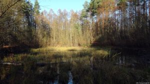 2015-12-08-das-auge-gottes-dsc03065-klein