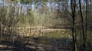 2017-03-04-waldteich-dsc01291-klein