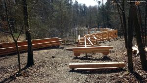 2017-03-04-waldteich-dsc01324a-klein