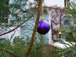 2005-12-04-sonntag-1-weihnachtsmarktlauf-jagdschloss-044b-klein