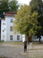 2009-09-04-mit-seffi-im-jagdschloss-grunewald-038-klein