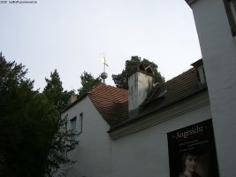2009-09-04-mit-seffi-im-jagdschloss-grunewald-046-klein