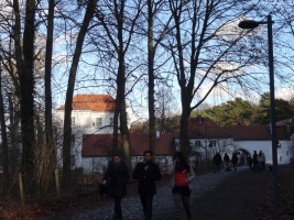 2012-12-30-grunewaldsee-jagdschloss-paulsborn-071-klein