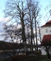 2012-12-30-grunewaldsee-jagdschloss-paulsborn-092-klein