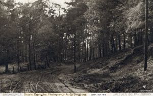 1914-07-15-paulsborn-klein