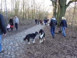 2012-12-30-grunewaldsee-jagdschloss-paulsborn-073-klein