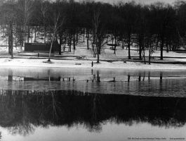 1981-grunewaldsee-von-bernhard-thevoz-klein